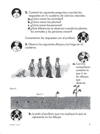 2. Contesto las siguientes preguntas y escribo las
                       respuestas en mi cuaderno de ciencias naturales.
                      a. ¿Cómo nacen los animales?
                        .
                      b.¿Cómo nacen las plantas?
                      c .¿Cómo nacen las personas?
                      d.¿Qué diferencias se observan cuando las plantas,
                          los animales y las personas crecen?

                    Comentamos las respuestas con el profesor.

                    3. Observo los siguientes dibujos y los hago en mi
                    cuaderno.




                                                            a. Con mis
                                                               compañeros
                                                               comento lo
                                                               que vi en
                                                               los dibujos
                                                               que
                                                               observé.
figura 4


                             figura 5




                       b. Le pido al profesor que nos explique lo que se
                          representa en los dibujos.

Unidad 3 - Guía 1                                                          9
 