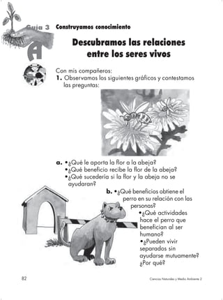 Guía 3 Construyamos conocimiento

                Descubramos las relaciones
     A             entre los seres vivos
          Con mis compañeros:
          1. Observamos los siguientes gráficos y contestamos
             las preguntas:




          a. •¿Qué le aporta la flor a la abeja?
             •¿Qué beneficio recibe la flor de la abeja?
             •¿Qué sucedería si la flor y la abeja no se
              ayudaran?
                            b. •¿Qué beneficios obtiene el
                                   perro en su relación con las
                                       personas?
                                          •¿Qué actividades
                                           hace el perro que
                                           benefician al ser
                                           humano?
                                           •¿Pueden vivir
                                           separados sin
                                           ayudarse mutuamente?
                                           ¿Por qué?

82                                          Ciencias Naturales y Medio Ambiente 2
 