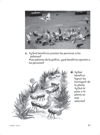 c. •¿Qué beneficios prestan las personas a las
                        palomas?
                       •Las palomas de la gráfica, ¿qué beneficios aportan a
                       las personas?


                                                           d. •¿Qué
                                                              beneficio
                                                              logran las
                                                              hormigas? de
                                                              la planta
                                                              •¿Qué le
                                                              pasa a la
                                                              planta en
                                                              esta
                                                              relación?




Unidad 5 - Guía 3                                                         83
 