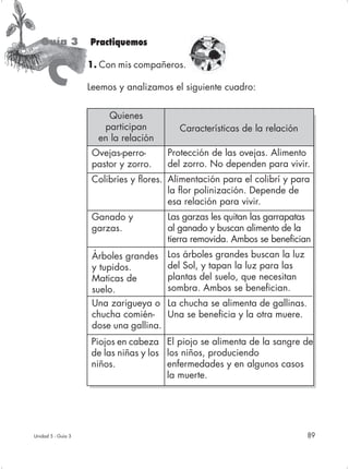 Guía 3           Practiquemos



      C
                    1. Con mis compañeros.

                    Leemos y analizamos el siguiente cuadro:


                        Quienes
                       participan           Características de la relación
                      en la relación
                     Ovejas-perro-       Protección de las ovejas. Alimento
                     pastor y zorro.     del zorro. No dependen para vivir.
                     Colibríes y flores. Alimentación para el colibrí y para
                                         la flor polinización. Depende de
                                         esa relación para vivir.
                     Ganado y            Las garzas les quitan las garrapatas
                     garzas.             al ganado y buscan alimento de la
                                         tierra removida. Ambos se benefician
                     Árboles grandes     Los árboles grandes buscan la luz
                     y tupidos.          del Sol, y tapan la luz para las
                     Maticas de          plantas del suelo, que necesitan
                     suelo.              sombra. Ambos se benefician.
                     Una zarigueya o     La chucha se alimenta de gallinas.
                     chucha comién-      Una se beneficia y la otra muere.
                     dose una gallina.
                    Piojos en cabeza El piojo se alimenta de la sangre de
                    de las niñas y los los niños, produciendo
                    niños.             enfermedades y en algunos casos
                                       la muerte.




Unidad 5 - Guía 3                                                             89
 