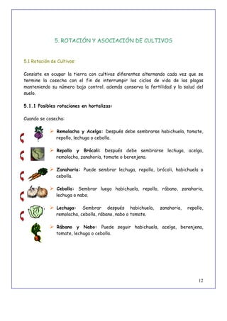12
5. ROTACIÓN Y ASOCIACIÓN DE CULTIVOS
5.1 Rotación de Cultivos:
Consiste en ocupar la tierra con cultivos diferentes alternando cada vez que se
termine la cosecha con el fin de interrumpir los ciclos de vida de las plagas
manteniendo su número bajo control, además conserva la fertilidad y la salud del
suelo.
5.1.1 Posibles rotaciones en hortalizas:
Cuando se cosecha:
 Remolacha y Acelga: Después debe sembrarse habichuela, tomate,
repollo, lechuga o cebolla.
 Repollo y Brócoli: Después debe sembrarse lechuga, acelga,
remolacha, zanahoria, tomate o berenjena.
 Zanahoria: Puede sembrar lechuga, repollo, brócoli, habichuela o
cebolla.
 Cebolla: Sembrar luego habichuela, repollo, rábano, zanahoria,
lechuga o nabo.
 Lechuga: Sembrar después habichuela, zanahoria, repollo,
remolacha, cebolla, rábano, nabo o tomate.
 Rábano y Nabo: Puede seguir habichuela, acelga, berenjena,
tomate, lechuga o cebolla.
 