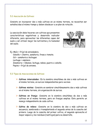 13
5.2 Asociación de Cultivos:
Consiste en incorporar dos o más cultivos en un mismo terreno, no necesitan ser
establecidas al mismo tiempo y deben obedecer a un plan de rotación.
La asociación debe hacerse con cultivos que presenten
características vegetativas y desarrollo radicular
diferente, para aprovechar las diferentes capas del
suelo y así utilizar mejor los nutrientes y la humedad
del suelo.
Ej: Maíz + fríjol de enredadera.
Cebolla + cilantro, zanahoria, fresa o tomate.
Col + zanahoria o lechugas
Lechuga + espinaca
Zanahoria + rábanos, lechuga, nabos, puerro o cebolla.
Pepino + fríjol de enrame.
5.3 Tipos de Asociaciones de Cultivos:
 Cultivos intercalados: Es la siembra simultánea de dos o más cultivos en
el mismo terreno, en surcos independientes pero vecinos.
 Cultivos mixtos: Consiste en sembrar simultáneamente dos o más cultivos
en el mismo terreno, sin organización de surcos.
 Cultivos en franja: Consiste en la siembra simultánea de dos o más
cultivos en el mismo terreno, pero en franjas amplias. Esto permite un
manejo independiente de cada cultivo.
 Cultivo de relevo: Consiste en la siembra de dos o más cultivos en
secuencia, sembrando o transplantando el segundo antes de la cosecha del
primero. Luego de la cosecha del primer cultivo, el segundo aprovecha el
mayor espacio y los residuos (rastrojos) para su desarrollo.
 