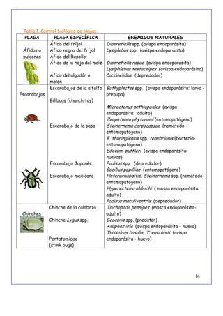 16
Tabla 1. Control biológico de plagas.
PLAGA PLAGA ESPECÍFICA ENEMIGOS NATURALES
Áfidos o
pulgones
Áfido del fríjol
Áfido negro del fríjol
Áfido del Repollo
Áfido de la hoja del maíz
Áfido del algodón o
melón
Diaeretiella spp. (avispa endoparásita)
Lysiplebus spp. (avispa endoparásita)
Diaeretiella rapae (avispa endoparásita)
Lysiphlebus testaceipes (avispa endoparásita)
Coccinelidae (depredador)
Escarabajos
Escarabajos de la alfalfa
Billbugs (chanchitos)
Escarabajo de la papa
Escarabajo Japonés
Escarabajo mexicano
Bathyplectes spp. (avispa endoparásita: larva -
prepupa)
Microctonus aethiopoides (avispa
endoparasita: adulto)
Zoophthora phytonomi (entomopatógeno)
Steinernema carpocapsae (nemátodo -
entomopatógeno)
B. thuringiensis spp. tenebrionis (bacteria-
entomopatógeno)
Edovum puttleri (avispa endoparásita:
huevos)
Podisus spp. (depredador)
Bacillus popilliae (entomopatógeno)
Heterorhabditis, Steinernema spp. (nemátodo-
entomopatógeno)
Hyperecteina aldrichi ( mosca endoparásita:
adulto)
Podisus maculiventris: (depredador)
Chinches
Chinche de la calabaza
Chinche Lygus spp.
Pentatomidae
(stink bugs)
Trichopoda pennipes (mosca endoparásita-
adulto)
Geocoris spp. (predator)
Anaphes iole (avispa endoparásita - huevo)
Trissolcus basalis, T. euschisti (avispa
endoparásita - huevo)
 