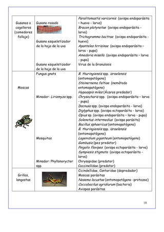 18
Gusanos o
cogolleros
(comedores
follaje)
Gusano rosado
Gusano esqueletizador
de la hoja de la uva
Gusano esqueletizador
de la hoja de la uva
Paralitomastis varicornis (avispa endoparásita
– huevo - larva)
Bracon platynotae (avispa endoparásita -
larva)
Trichogramma bactrae (avispa endoparásita -
huevo)
Apanteles hrrisinae (avispa endoparásita –
larva - pupa)
Amedoria misella (avispa endoparásita – larva
- pupa)
Virus de la Granulosis
Moscas
Fungus gnats
Minador: Liriomyza spp.
Mosquitos
Minador: Phyllonorycter
spp.
B. thuringiensis spp. israelensis
(entomopatógeno)
Steinernema feltiae (nemátodo
entomopatógeno)
Hypoaspis miles (Ácaros predador)
Chrysocharis spp. (avispa endoparásita – larva
- pupa)
Dacnusa spp. (avispa endoparásita - larva)
Diglyphus spp. (avispa ectoparásita - larva)
Opius sp. (avispa endoparásita – larva - pupa)
Solenotus intermedius (avispa parásita)
Bacillus sphaericus (entomopatógeno)
B. thuringiensis spp. israelensis
(entomopatógeno)
Lagenidium giganteum (entomopatógeno)
Gambusia (pez predator)
Pnigalio flavipes (avispa ectoparásita - larva)
Sympiesis stigmata (avispa ectoparásita -
larva)
Chrysopidae (predator)
Coccinellidae (predator)
Grillos,
langostas
Cicindellidae, Cantaridae (depredador)
Moscas parásitas
Nosema locustae (entomopatógeno -protozoo)
Coccobacilus agridiurum (bacteria)
Avispas parásitas
 