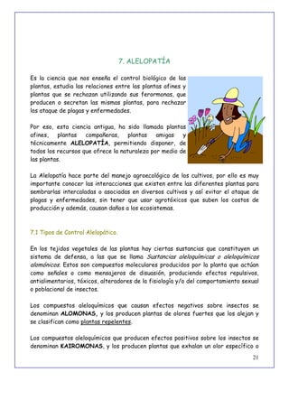 21
7. ALELOPATÍA
Es la ciencia que nos enseña el control biológico de las
plantas, estudia las relaciones entre las plantas afines y
plantas que se rechazan utilizando sus ferormonas, que
producen o secretan las mismas plantas, para rechazar
los ataque de plagas y enfermedades.
Por eso, esta ciencia antigua, ha sido llamada plantas
afines, plantas compañeras, plantas amigas y
técnicamente ALELOPATÍA, permitiendo disponer, de
todos los recursos que ofrece la naturaleza por medio de
las plantas.
La Alelopatía hace parte del manejo agroecológico de los cultivos, por ello es muy
importante conocer las interacciones que existen entre las diferentes plantas para
sembrarlas intercaladas o asociadas en diversos cultivos y así evitar el ataque de
plagas y enfermedades, sin tener que usar agrotóxicos que suben los costos de
producción y además, causan daños a los ecosistemas.
7.1 Tipos de Control Alelopático.
En los tejidos vegetales de las plantas hay ciertas sustancias que constituyen un
sistema de defensa, a las que se llama Sustancias aleloquímicas o aleloquímicos
alomónicos. Estos son compuestos moleculares producidos por la planta que actúan
como señales o como mensajeros de disuasión, produciendo efectos repulsivos,
antialimentarios, tóxicos, alteradores de la fisiología y/o del comportamiento sexual
o poblacional de insectos.
Los compuestos aleloquímicos que causan efectos negativos sobre insectos se
denominan ALOMONAS, y los producen plantas de olores fuertes que los alejan y
se clasifican como plantas repelentes.
Los compuestos aleloquímicos que producen efectos positivos sobre los insectos se
denominan KAIROMONAS, y los producen plantas que exhalan un olor específico o
 