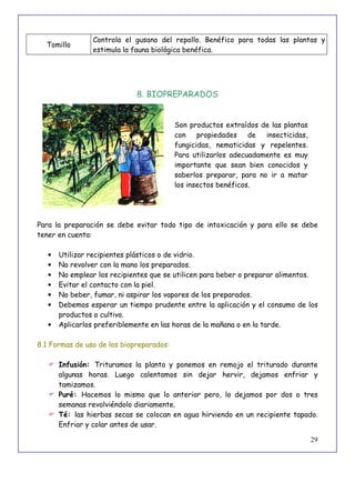 29
Tomillo
Controla el gusano del repollo. Benéfico para todas las plantas y
estimula la fauna biológica benéfica.
8. BIOPREPARADOS
Son productos extraídos de las plantas
con propiedades de insecticidas,
fungicidas, nematicidas y repelentes.
Para utilizarlos adecuadamente es muy
importante que sean bien conocidos y
saberlos preparar, para no ir a matar
los insectos benéficos.
Para la preparación se debe evitar todo tipo de intoxicación y para ello se debe
tener en cuenta:
• Utilizar recipientes plásticos o de vidrio.
• No revolver con la mano los preparados.
• No emplear los recipientes que se utilicen para beber o preparar alimentos.
• Evitar el contacto con la piel.
• No beber, fumar, ni aspirar los vapores de los preparados.
• Debemos esperar un tiempo prudente entre la aplicación y el consumo de los
productos o cultivo.
• Aplicarlos preferiblemente en las horas de la mañana o en la tarde.
8.1 Formas de uso de los biopreparados:
 Infusión: Trituramos la planta y ponemos en remojo el triturado durante
algunas horas. Luego calentamos sin dejar hervir, dejamos enfriar y
tamizamos.
 Puré: Hacemos lo mismo que lo anterior pero, lo dejamos por dos o tres
semanas revolviéndolo diariamente.
 Té: las hierbas secas se colocan en agua hirviendo en un recipiente tapado.
Enfriar y colar antes de usar.
 