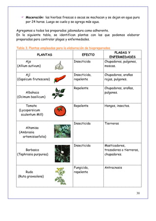 30
 Maceración: las hierbas frescas o secas se machacan y se dejan en agua pura
por 24 horas. Luego se cuela y se agrega más agua.
Agregamos a todos los preparados jabonadura como adherente.
En la siguiente tabla, se identifican plantas con las que podemos elaborar
preparados para controlar plagas y enfermedades.
Tabla 3. Plantas empleadas para la elaboración de biopreparados.
PLANTAS EFECTO
PLAGAS Y
ENFERMEDADES
Ajo
(Allium sutivum)
Insecticida Chupadores, pulgones,
moscas.
Ají
(Capsicum frutescens)
Insecticida,
repelente
Chupadores, arañas
rojas, pulgones.
Albahaca
(Ocimum basilicum)
Repelente Chupadores, arañas,
pulgones.
Tomate
(Lycopersicum
sculentum Mill)
Repelente Hongos, insectos.
Altamisa
(Ambrosia
artemisiaefolia)
Insecticida Tierreros
Barbasco
(Tephrosia purpurea)
Insecticida Masticadores,
trozadores o tierreros,
chupadores.
Ruda
(Ruta graveolens)
Fungicida,
repelente
Antracnosis
 