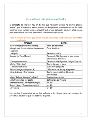 45
10. MALEZAS O PLANTAS ARVENSES
El concepto de “maleza” hoy en día hay que revaluarlo porque no existen plantas
“malas”, por el contrario estas plantas son hospederas principalmente de la fauna
benéfica o nos indican como se encuentra el estado del suelo, es decir, ellas crecen
para sanar lo que nosotros destruimos con nuestra agricultura.
Tabla 4. Plantas arvenses que crecen a causa de excesos o deficiencia de nutrientes
en el suelo.
MALEZA CAUSA
Lecherita (Euphorbia heteroph) Falta de Molibdeno
Carapico de Carnero (Acanthospermum
hispium)
Falta de Calcio
Amapola Exceso de Calcio
Lengua de Vaca (Rumex) Exceso de Nitrógeno de origen animal
(Deficiencia de Cobre)
Chenopodium album Exceso de Nitrógeno de Origen Vegetal
Malva (Sida Spp.) Capita dura en el suelo
Cenchrus echinatus Suelo muy compacto
Nabo Forrajero (Raphnus R.) Deficiencia de Boro y Manganeso
Cola de Zorro (Andropogon) Capita impermeable a 80 cm de
profundidad
Capin “Pelo de Marrano” (Carex) Quemas frecuentes
Alfalfa invadida por pasto Deficiencia de Potasio
Herba Lanceta (Solidago microgl.) pH 4.5
Pasto “Sape” (Imperata exaltata) pH 4.0
Artemisia pH 8.0
Las plantas transgénicas evitan las malezas y las plagas, pero no corrigen los
problemas causantes que son cada vez mayores.
 