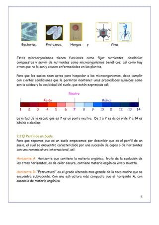 6
Bacterias, Protozoos, Hongos y Virus
Estos microorganismos tienen funciones como fijar nutrientes, desdoblar
compuestos y servir de nutrientes como microorganismos benéficos; así como hay
otros que no lo son y causan enfermedades en las plantas.
Para que los suelos sean aptos para hospedar a los microorganismos, debe cumplir
con ciertas condiciones que le permitan mantener unas propiedades químicas como
son la acidez y la basicidad del suelo, que están expresada así:
Neutro
1 2 3 4 5 6 7 8 9 10 11 12 13 14
La mitad de la escala que es 7 es un punto neutro. De 1 a 7 es ácido y de 7 a 14 es
básico o alcalino.
2.2 El Perfil de un Suelo.
Para que sepamos que es un suelo empecemos por describir que es el perfil de un
suelo, el cual se encuentra caracterizado por una sucesión de capas o de horizontes
con una nomenclatura internacional, así:
Horizonte A: Horizonte que contiene la materia orgánica, fruto de la evolución de
los otros horizontes, es de color oscuro, contiene materia orgánica viva y muerta.
Horizonte B: “Estructural” es el grado alterado mas grande de la roca madre que se
encuentra subyacente. Con una estructura más compacta que el horizonte A, con
ausencia de materia orgánica.
Ácido Básico
 