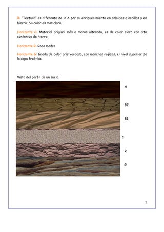 7
B: “Textura” es diferente de la A por su enriquecimiento en coloides o arcillas y en
hierro. Su color es mas claro.
Horizonte C: Material original más o menos alterado, es de color claro con alto
contenido de hierro.
Horizonte R: Roca madre.
Horizonte G: Greda de color gris verdoso, con manchas rojizas, el nivel superior de
la capa freática.
Vista del perfil de un suelo.
A
B2
B1
B B
C C
R
G G
 