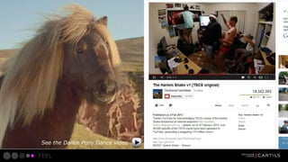 See the Dance Pony Dance video

FEEL

 