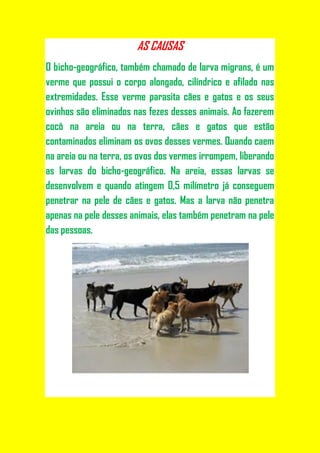 AS CAUSAS
O bicho-geográfico, também chamado de larva migrans, é um
verme que possui o corpo alongado, cilíndrico e afilado nas
extremidades. Esse verme parasita cães e gatos e os seus
ovinhos são eliminados nas fezes desses animais. Ao fazerem
cocô na areia ou na terra, cães e gatos que estão
contaminados eliminam os ovos desses vermes. Quando caem
na areia ou na terra, os ovos dos vermes irrompem, liberando
as larvas do bicho-geográfico. Na areia, essas larvas se
desenvolvem e quando atingem 0,5 milímetro já conseguem
penetrar na pele de cães e gatos. Mas a larva não penetra
apenas na pele desses animais, elas também penetram na pele
das pessoas.
 