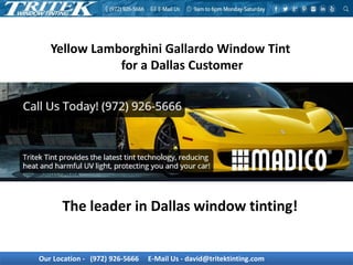 Our Location - (972) 926-5666 E-Mail Us - david@tritektinting.com
Yellow Lamborghini Gallardo Window Tint
for a Dallas Customer
The leader in Dallas window tinting!
 