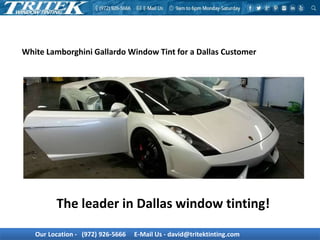 Our Location - (972) 926-5666 E-Mail Us - david@tritektinting.com
White Lamborghini Gallardo Window Tint for a Dallas Customer
The leader in Dallas window tinting!
 
