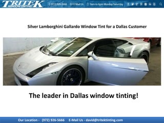 Our Location - (972) 926-5666 E-Mail Us - david@tritektinting.com
Silver Lamborghini Gallardo Window Tint for a Dallas Customer
The leader in Dallas window tinting!
 