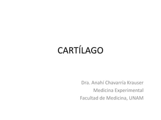 CARTÍLAGO
Dra. Anahí Chavarría Krauser
Medicina Experimental
Facultad de Medicina, UNAM
 