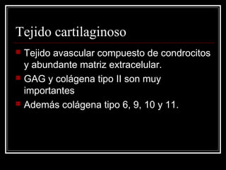 Tejido cartilaginoso






Tejido avascular compuesto de condrocitos
y abundante matriz extracelular.
GAG y colágena tipo II son muy
importantes
Además colágena tipo 6, 9, 10 y 11.

 
