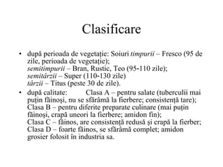 Clasificare după perioada de vegetaţie: Soiuri timpurii  – Fresco (95 de zile, perioada de vegetaţie); semitimpurii  – Bran, Rustic, Teo (95‑110 zile); semitârzii  – Super (110‑130 zile) târzii  – Titus (peste 30 de zile). după calitate: Clasa A – pentru salate (tuberculii mai puţin făinoşi, nu se sfărâmă la fierbere; consistenţă tare); Clasa B – pentru diferite preparate culinare (mai puţin făinoşi, crapă uneori la fierbere; amidon fin); Clasa C – făinos, are consistenţă redusă şi crapă la fierber; Clasa D – foarte făinos, se sfărâmă complet; amidon grosier folosit în industria sa. 