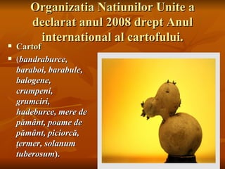 Organizatia Natiunilor Unite a
       declarat anul 2008 drept Anul
        international al cartofului.
   Cartof
   (bandraburce,
    baraboi, barabule,
    balogene,
    crumpeni,
    grumciri,
    hadeburce, mere de
    pământ, poame de
    pământ, piciorcă,
    ţermer, solanum
    tuberosum).
 
