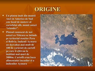 ORIGINE
   Un platou inalt din muntii
    Anzi in America de Sud
    este locul de nastere al
    cartofului alb, numit astazi
    “irlandez”.
   Platoul cunoscut de noi
    astazi ca Titicaca se intinde
    pe teritoriul statelor Peru
    si Bolivia. Indienii Aymara
    au dezvoltat mai mult de
    100 de varietati de cartofi
    pe care ii ciltivau la
    inaltimi mai mari de
    3000m. Cartofii erau baza
    alimentatiei incasilor si a
    indienilor Aymara
 