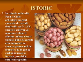 ISTORIC
   In ruinele antice din
    Peru si Chile,
    arheologii au gasit
    ramasite de cartofi,
    datate din sec.V i.Ch.
    Incasii ii cultivau ,ii
    mancau si chiar ii
    adorau. Adesea cosuri
    sigilate, pline cu cartofi
    erau ingropati ca
    rezerva pentru anii de
    foamete sau in caz de
    razboi, ii uscau si
    formau proviziile
    carate in expeditii.
 