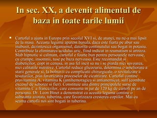 In sec. XX, a devenit alimentul de
         baza in toate tarile lumii
   Cartoful a ajuns in Europa prin secolul XVI si, de atunci, nu ne-a mai lipsit
    de la masa. Aceasta leguma aparent banala, daca este fiarta pe abur sau
    inabusit, dezintoxica organismul, datorita continutului sau bogat in potasiu.
    Contribuie la eliminarea acidului uric, fiind indicat in reumatism si artroza.
    Slab hipnotic si calmant, cartoful e foarte bun pentru persoanele nervoase,
    cu crampe, insomnii, tuse pe baza nervoasa. Este recomandat si
    diabeticilor, copt in cenusa, in asa fel incit sa nu i se piarda nici savoarea,
    nici calitatile nutritive. Cartoful reduce glicozuria, determina o ameliorare a
    starii generale si, la bolnavii cu complicatii chirurgicale, o revitalizare a
    tesuturilor, prin favorizarea proceselor de cicatrizare. Cartoful contine
    provitamina A, vitamina K (antihemoragica si antianemica), sulf (combate
    excesul de seboree si fier). Constituie una dintre principalele surse de
    vitamina C a francezilor, care consuma in jur de 120 kg de cartofi pe an de
    persoana. Dr. Leon Binet a demonstrat ca aceasta leguma contine o
    substanta azotata, tuberina, care favorizeaza cresterea copiilor. Mai cu
    seama cartofii noi sint bogati in tuberina.
 