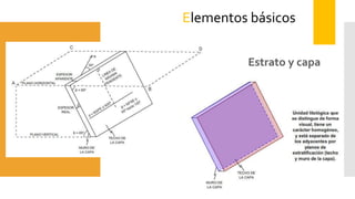 Estrato y capa
Elementos básicos
 