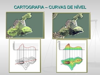 CARTOGRAFIA – CURVAS DE NÍVEL
 