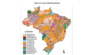 MAPA DE SOLOS EMBRAPA/BRASIL
 