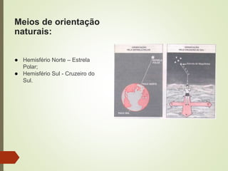 Meios de orientação
naturais:
● Hemisfério Norte – Estrela
Polar;
● Hemisfério Sul - Cruzeiro do
Sul.
 
