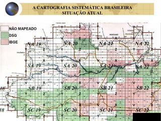 A CARTOGRAFIA SISTEMÁTICA BRASILEIRA
SITUAÇÃO ATUAL
 