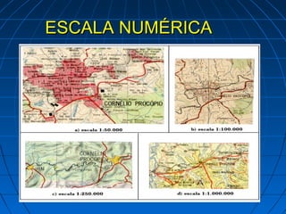 ESCALA NUMÉRICA
 