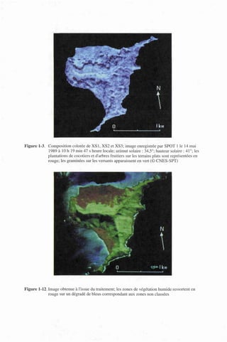 Figure 1-3. Composition colorée de XS1, XS2 et XS3; image enregistrée par SPOT 1 le 14 mai
1989 à 10 h 19 min 47 s heure locale; azimut solaire : 34,5°; hauteur solaire : 41°; les
plantations de cocotiers et d'arbres fruitiers sur les terrains plats sont représentées en
rouge; les graminées sur les versants apparaissent en vert (© CNES-SPT)
Figure 1-12. Image obtenue à l'issue du traitement; les zones de végétation humide ressortent en
rouge sur un dégradé de bleus correspondant aux zones non classées
 