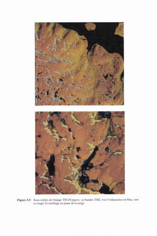 Figure 3-5. Sous-scènes de l'image TM d'Ungava : a) bandes TM2, 4 et 5 rehaussées en bleu, vert
et rouge; b) seuillage en jaune de la neige
 