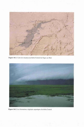 Figure 16-1. Carte de situation du Delta Central du Niger au Mali
Figure 16-2. Les formations végétales aquatiques du delta Central
 