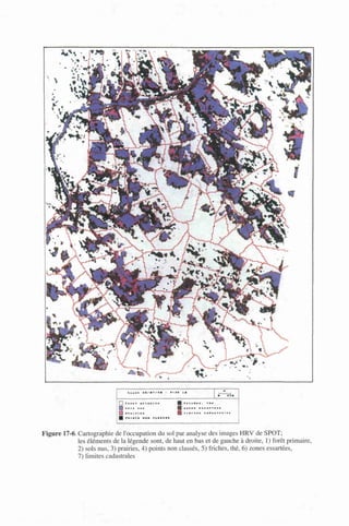 s
Figure 17-6. Cartographie de l'occupation du sol par analyse des images HRV de SPOT;
les éléments de la légende sont, de haut en bas et de gauche à droite, 1) forêt primaire,
2) sols nus, 3) prairies, 4) points non classés, 5) friches, thé, 6) zones essartées,
7) limites cadastrales
 