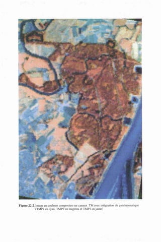 Figure 22-2. Image en couleurs composites sur canaux TM avec intégration du panchromatique
(TMP4 en cyan, TMP2 en magenta et TMP1 en jaune)
 