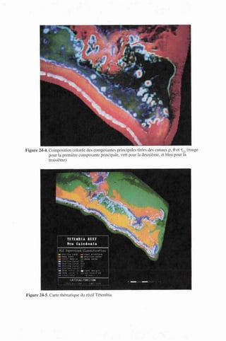 Figure 24-4. Composition colorée des composantes principales tirées des canaux p, 6 et x(2) (rouge
pour la première composante principale, vert pour la deuxième, et bleu pour la
troisième)
Figure 24-5. Carte thématique du récif Tétembia
 