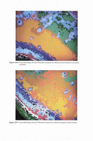 Figure 24-6. Carte thématique du récif Tétembia montrant les détails du récif interne et des pâtés
coralliens
Figure 24-7. Carte thématique du récif Tétembia montrant les détails du platier récifal externe
 