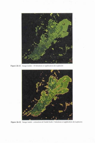 Figure 26-11. Image traitée : 10 itérations et application du Laplacien
Figure 26-12. Image traitée : extraction de l'entité forêt, 3 itérations et application du Laplacien
 