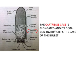 Cartridge Diagrams