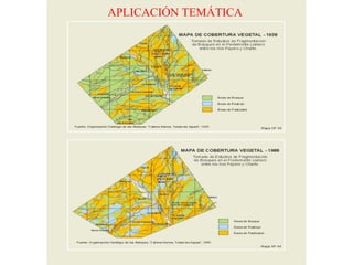 APLICACIÓN TEMÁTICA
 