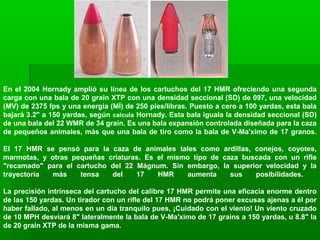 En el 2004 Hornady amplió su línea de los cartuchos del 17 HMR ofreciendo una segunda
carga con una bala de 20 grain XTP con una densidad seccional (SD) de 097, una velocidad
(MV) de 2375 fps y una energia (MÍ) de 250 pies/libras. Puesto a cero a 100 yardas, esta bala
bajará 3.2" a 150 yardas, según calcula Hornady. Esta bala iguala la densidad seccional (SD)
de una bala del 22 WMR de 34 grain. Es una bala expansión controlada diseñada para la caza
de pequeños animales, más que una bala de tiro como la bala de V-Ma'ximo de 17 granos.
El 17 HMR se pensó para la caza de animales tales como ardillas, conejos, coyotes,
marmotas, y otras pequeñas criaturas. Es el mismo tipo de caza buscada con un rifle
"recamado" para el cartucho del 22 Mágnum. Sin embargo, la superior velocidad y la
trayectoria más tensa del 17 HMR aumenta sus posibilidades.
La precisión intrínseca del cartucho del calibre 17 HMR permite una eficacia enorme dentro
de las 150 yardas. Un tirador con un rifle del 17 HMR no podrá poner excusas ajenas a él por
haber fallado, al menos en un día tranquilo pues, ¡Cuidado con el viento! Un viento cruzado
de 10 MPH desviará 8" lateralmente la bala de V-Ma'ximo de 17 grains a 150 yardas, u 8.8" la
de 20 grain XTP de la misma gama.
 