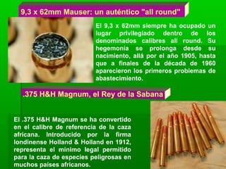 9,3 x 62mm Mauser: un auténtico "all round"
El 9,3 x 62mm siempre ha ocupado un
lugar privilegiado dentro de los
denominados calibres all round. Su
hegemonía se prolonga desde su
nacimiento, allá por el año 1905, hasta
que a finales de la década de 1960
aparecieron los primeros problemas de
abastecimiento.
.375 H&H Magnum, el Rey de la Sabana
El .375 H&H Magnum se ha convertido
en el calibre de referencia de la caza
africana. Introducido por la firma
londinense Holland & Holland en 1912,
representa el mínimo legal permitido
para la caza de especies peligrosas en
muchos países africanos.
 