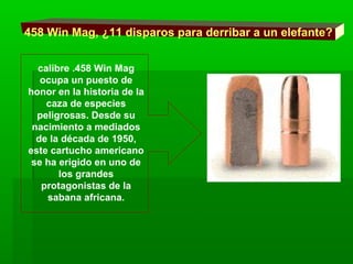 458 Win Mag, ¿11 disparos para derribar a un elefante?
calibre .458 Win Mag
ocupa un puesto de
honor en la historia de la
caza de especies
peligrosas. Desde su
nacimiento a mediados
de la década de 1950,
este cartucho americano
se ha erigido en uno de
los grandes
protagonistas de la
sabana africana.
 