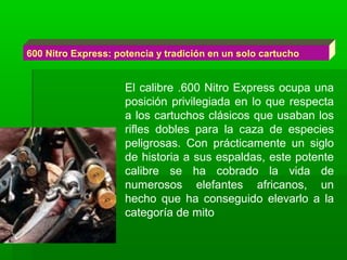 600 Nitro Express: potencia y tradición en un solo cartucho
El calibre .600 Nitro Express ocupa una
posición privilegiada en lo que respecta
a los cartuchos clásicos que usaban los
rifles dobles para la caza de especies
peligrosas. Con prácticamente un siglo
de historia a sus espaldas, este potente
calibre se ha cobrado la vida de
numerosos elefantes africanos, un
hecho que ha conseguido elevarlo a la
categoría de mito
 