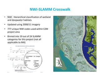 NWI-SLAMM Crosswalk 
•NWI Hierarchical classification of wetland and deepwater habitats 
•Updated using 2008/11 imagery 
•777 unique NWI codes used within CZM project area 
•Binned into 19 out of 24 SLAMM categories for this project (not all applicable to MA) 
 