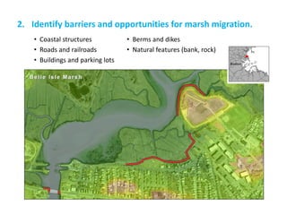 • Coastal structures 
• Roads and railroads 
• Buildings and parking lots 
• Berms and dikes 
• Natural features (bank, rock) 
2.Identify barriers and opportunities for marsh migration.  