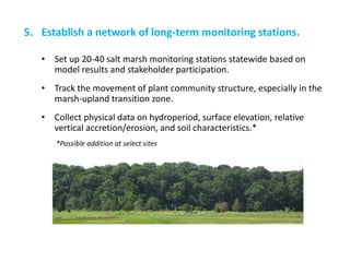 •Set up 20-40 salt marsh monitoring stations statewide based on model results and stakeholder participation. 
•Track the movement of plant community structure, especially in the marsh-upland transition zone. 
•Collect physical data on hydroperiod, surface elevation, relative vertical accretion/erosion, and soil characteristics.* 
5.Establish a network of long-term monitoring stations. 
*Possible addition at select sites  