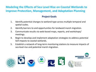 Modeling the Effects of Sea Level Rise on Coastal Wetlands to Improve Protection, Management, and Adaptation Planning 
Project Goals 
1.Identify potential changes to wetland type across multiple temporal and spatial scales. 
2.Identify barriers to and opportunities for landward marsh migration. 
3.Communicate results via web-based maps, reports, and workshops/ meetings. 
4.Begin to develop and implement adaptation strategies to address potential SLR impacts to coastal wetlands. 
5.Establish a network of long-term monitoring stations to measure impacts of sea level rise and potential marsh migration. 
 